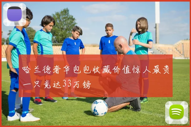 哈兰德奢华包包收藏价值惊人最贵一只竟达33万镑