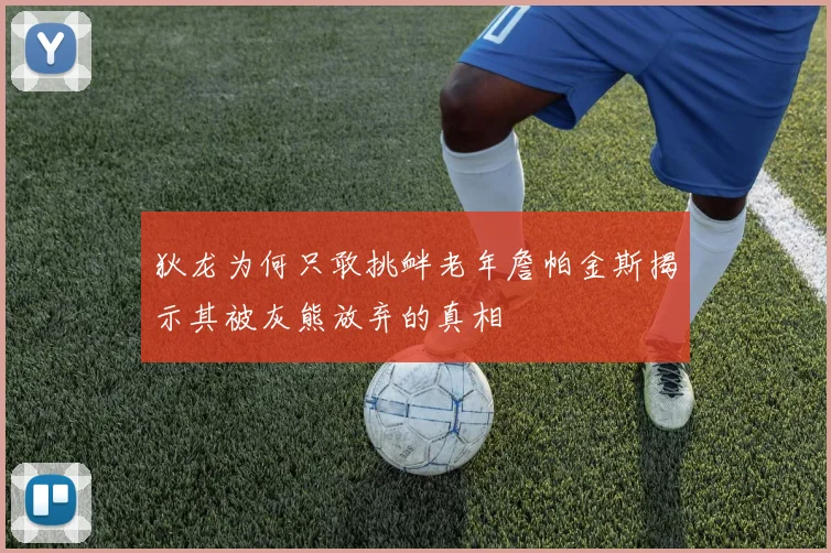 狄龙为何只敢挑衅老年詹帕金斯揭示其被灰熊放弃的真相