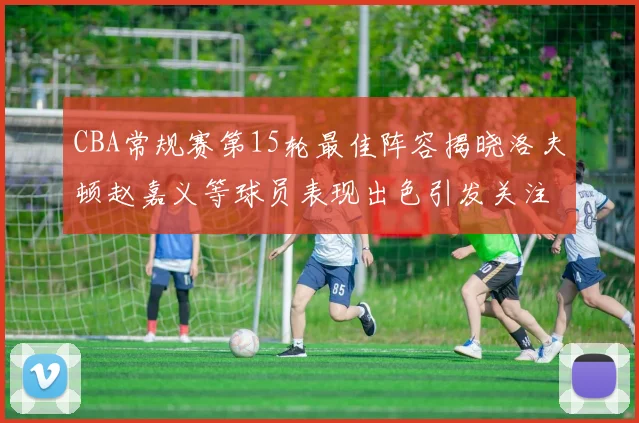 CBA常规赛第15轮最佳阵容揭晓洛夫顿赵嘉义等球员表现出色引发关注