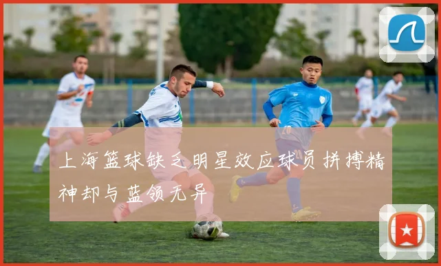 上海篮球缺乏明星效应球员拼搏精神却与蓝领无异